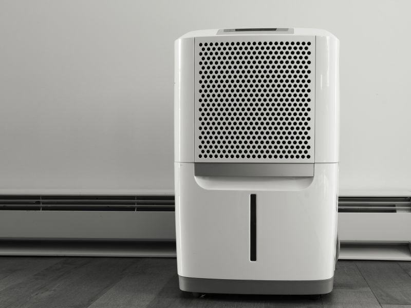 Basement Dehumidifier Service in Kansas City, MO