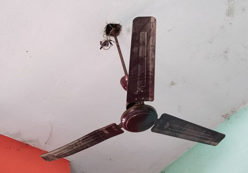 Garage Ceiling Fan Repair in Littleton, CO